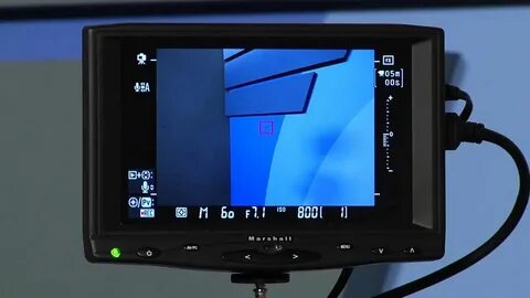 Camera monitor