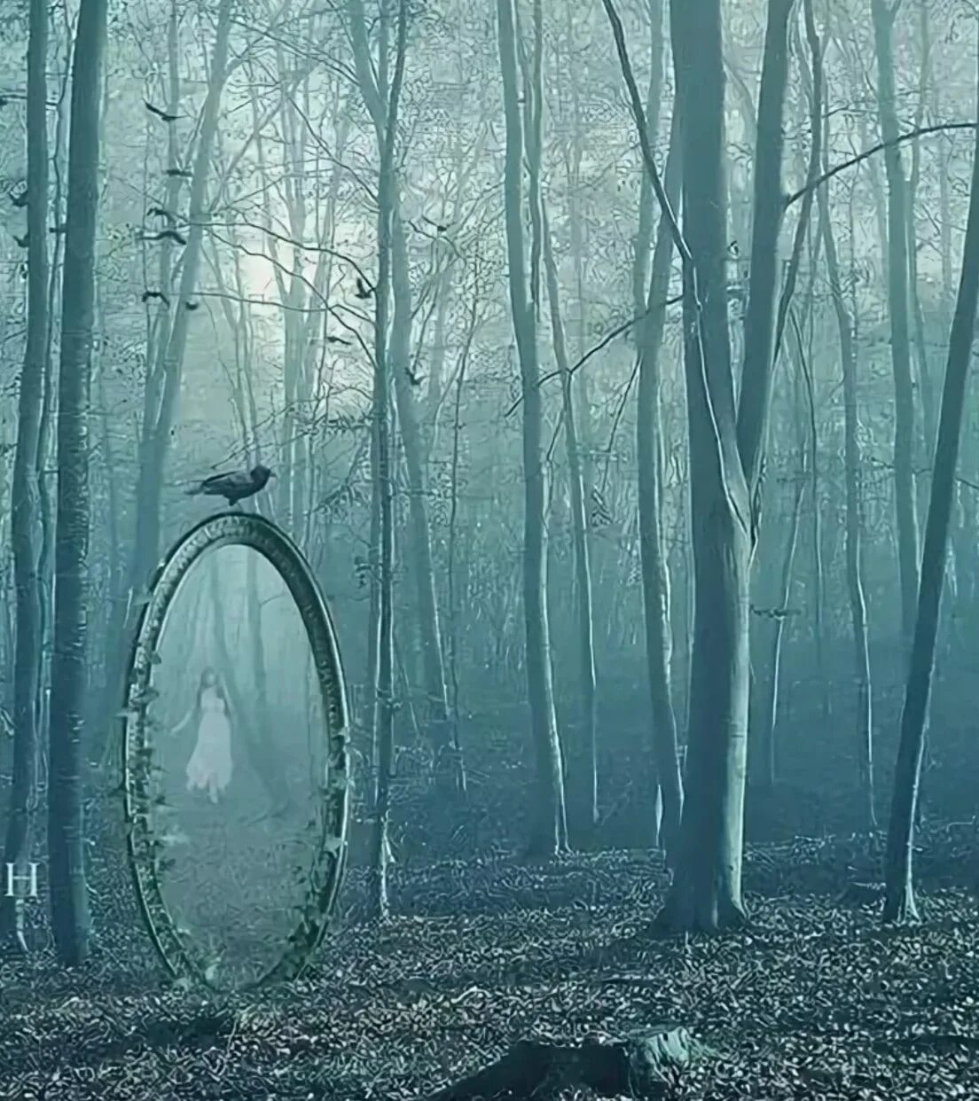 Strange mirror
