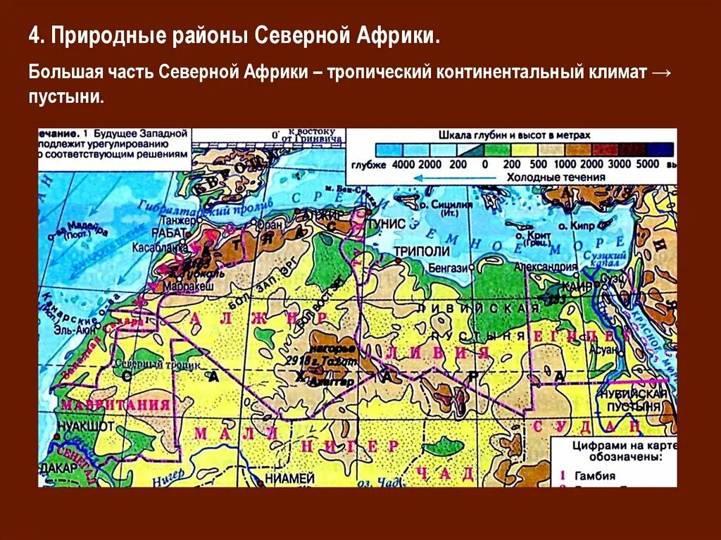Природные условия и ресурсы тропической африки. Природные районы северной африки. карта природные условия африки. природные условия северной африки.