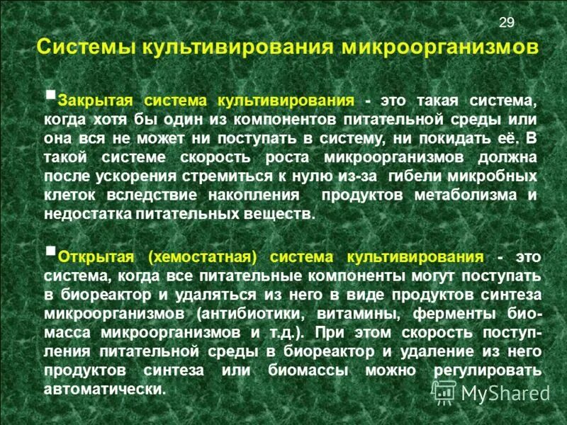 Культивирование патогенных микробов. Классификация способов культивирования микроорганизмов. Культивирование клеток микроорганизмов. Способы культивирования бактерий. Метод культивирования микробиология.