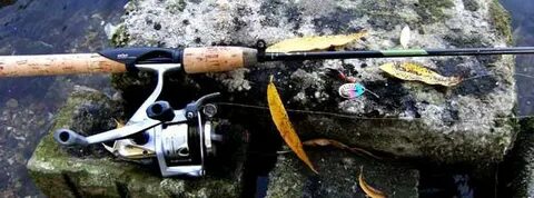 Катушки для спиннинга для ловли форели