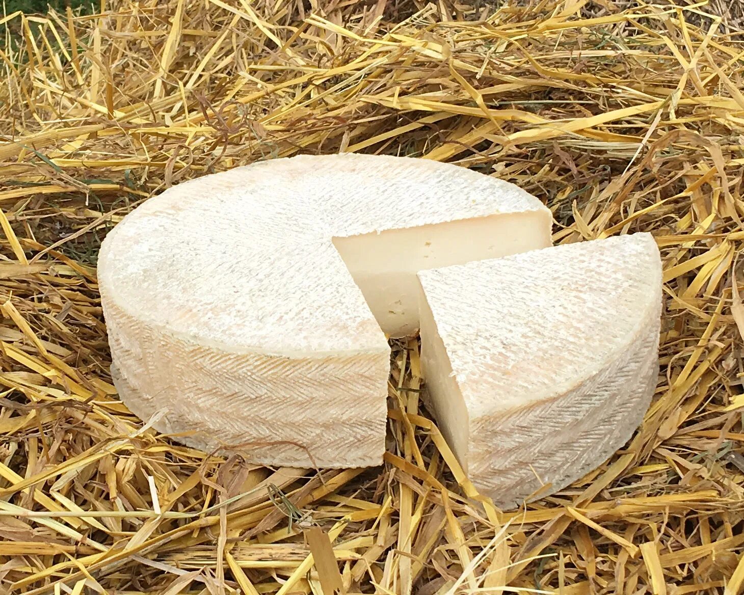 Брынза адыгейский сыр. Адыгейский сыр. Брынза. Сыр рассольный козий. Сыр с козьего молока.