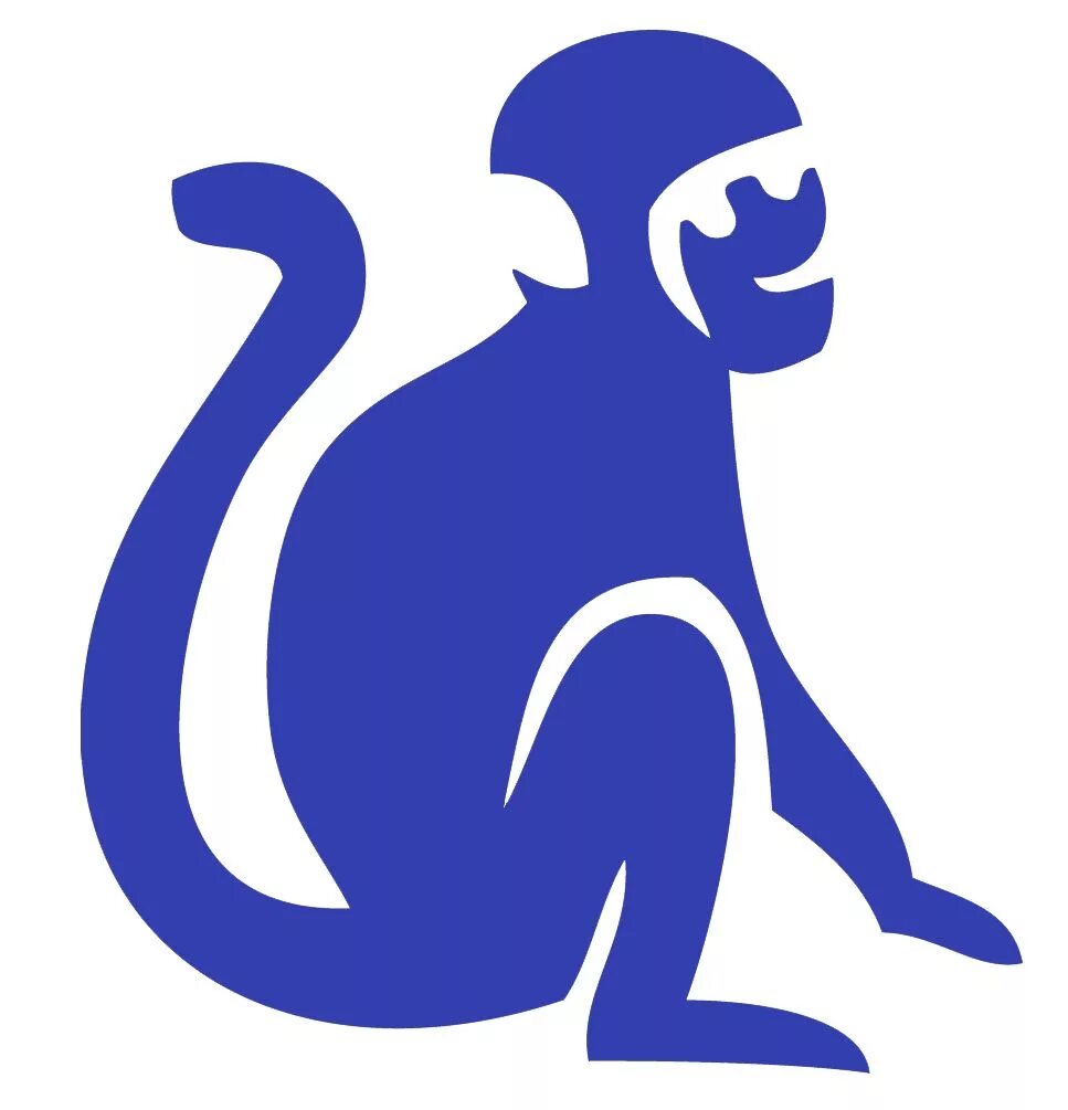 год обезьяны. год огненной обезьяны. обезьяна гороскоп. год красной обезьяны. обезьяна знак зодиака года.