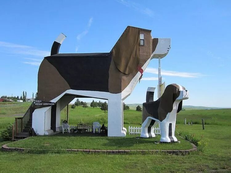 Здание животное. Здание животное