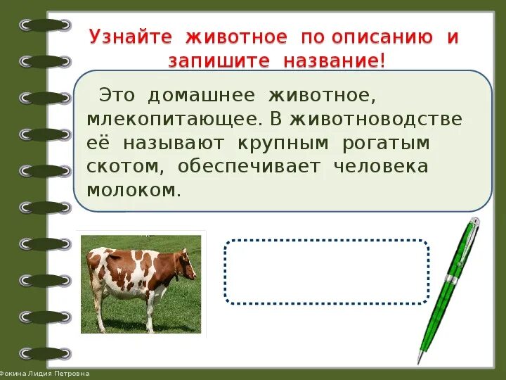 Узнавать про животных. Узнай животное поописнию. Игра узнай животное по описанию. Угадай домашнее животное по описанию. «Узнайте животного по описанию».