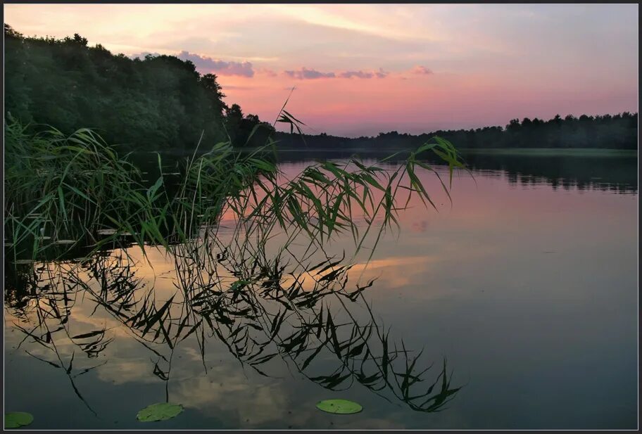 Заря вода. На заре. заря. на заре фото. абрыл на заре.