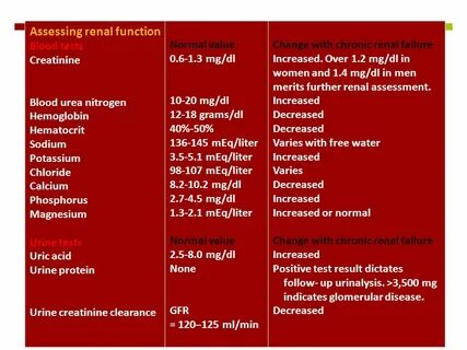 Renal function