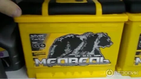 Тюменский медведь 60 отзывы