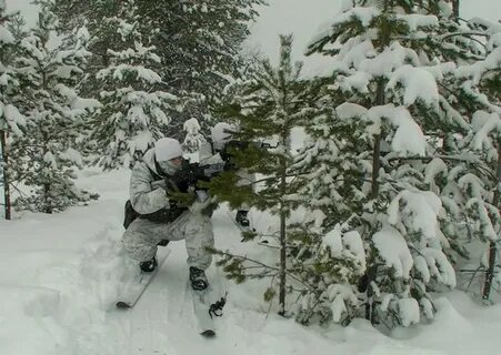 Разведчиков 80
