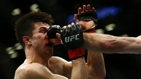 Ufc обзор