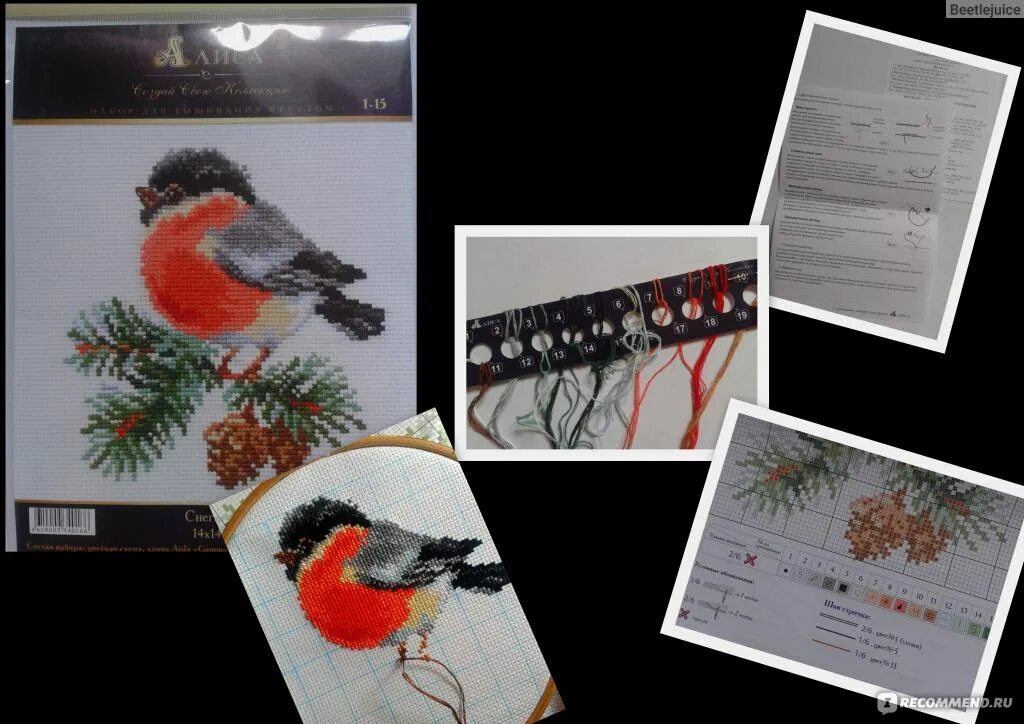Риолис зайчики. Алиса 1 15. Луговой чекан алиса стич су. Схема вышивки снегирь. Алиса снегирек вышивка.