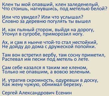 Романс есенина клен ты мой опавший