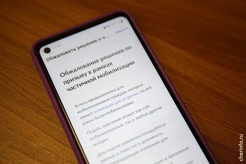 Мобилизация госуслугах
