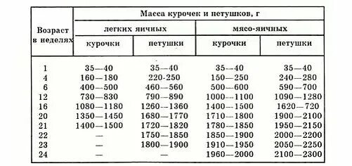 Сколько вес курицы. Вес цыплят несушек по дням таблица. Вес кур несушек по дням таблица. Таблица привеса цыплят мясо-яичных пород. Вес цыплят несушек по месяцам таблица.