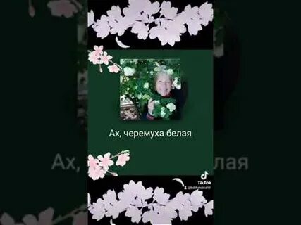 Караоке черемуха душистая