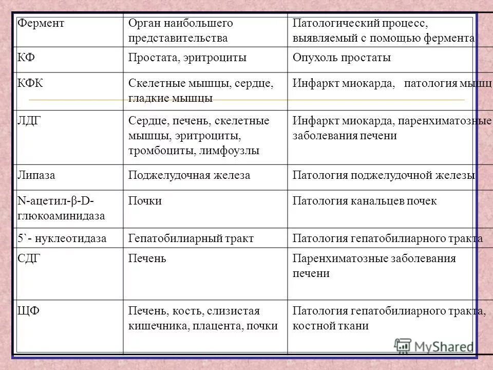 Ферменты почек. Почечные ферменты в крови. Органоспецифические ферменты почек. Индикаторные ферменты почек.