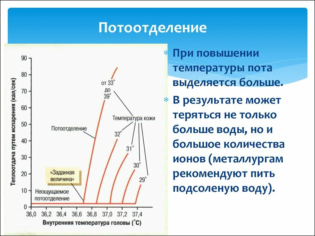 Температура. Причины повышения температуры. Причины повышение потоотделения. Температура и потоотделение.