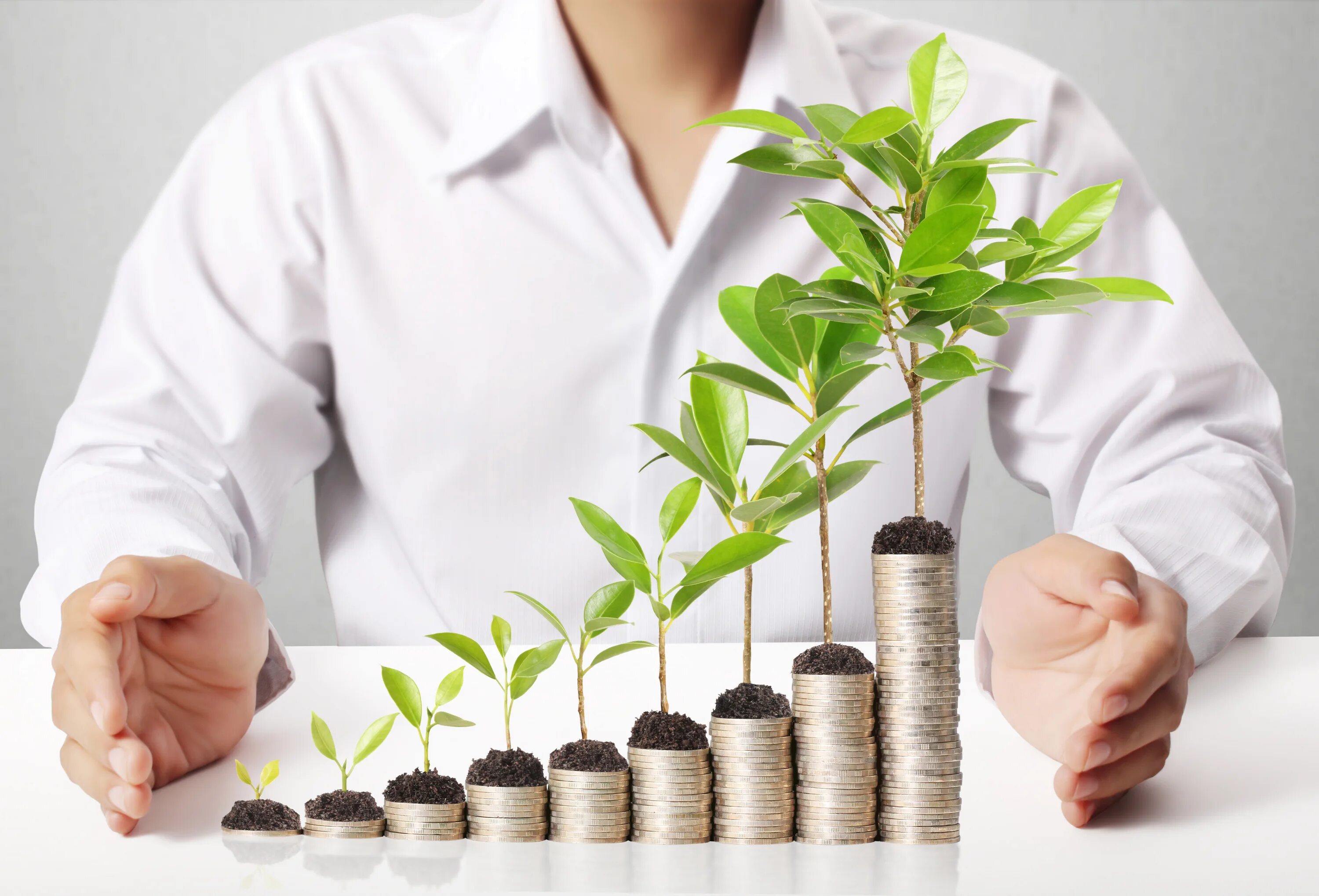 Инвестиции. Экологическое предпринимательство. Инвестирование +в малый бизнес. Экология и деньги.
