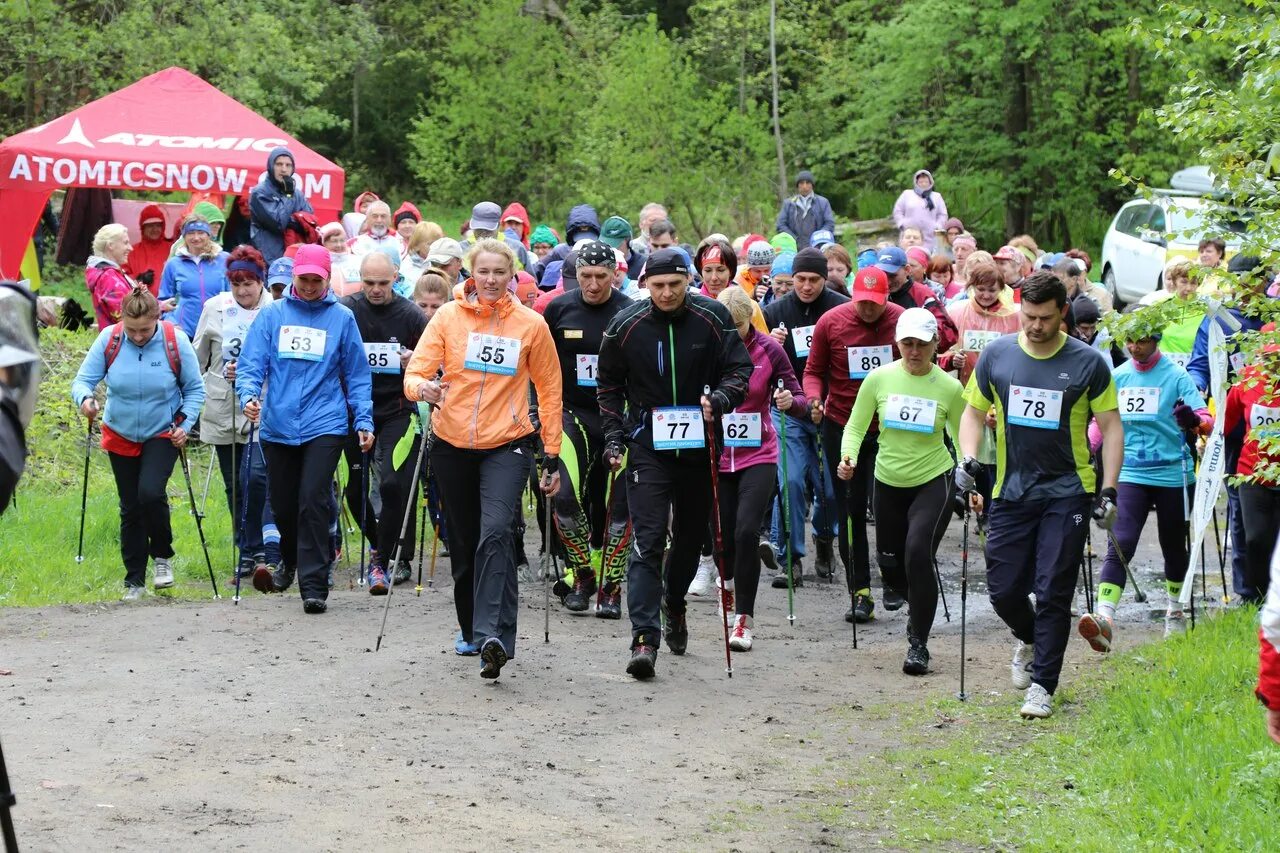 северная ходьба. техника скандинавской ходьбы. человек с палками для скандинавской ходьбы. Ergoforce-e0501y. скандинавская ходьба спб.