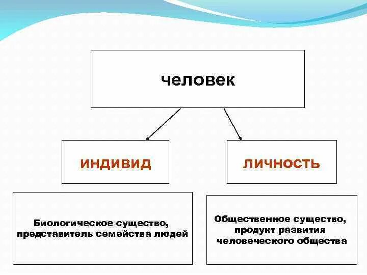 Интеллект карта личность индивид индивидуальность. Человек существо Общественное. Человек как индивид. Человек индивид личность биологическое Общественное в человеке.