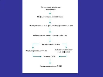 Этиология нефрит