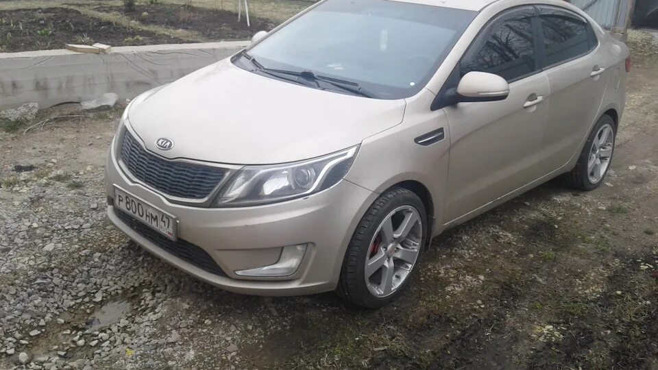 Rio 11. Киа Рио 11г. Kia Rio 11 год. Киа Рио 3 11 года. Киа Рио 11-4 d=254 horer.