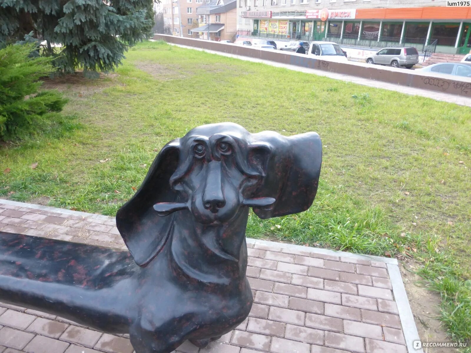 Памятник другое название. Лавочки таксы Воскресенск. Собака на лавочке. Скульптура собака скамейка. Скульптура собаки скамейки в Таллинне.