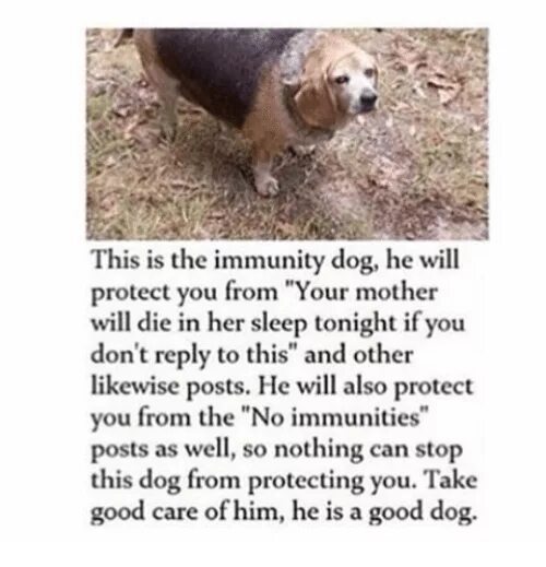 Immunity doggo. This is he dog