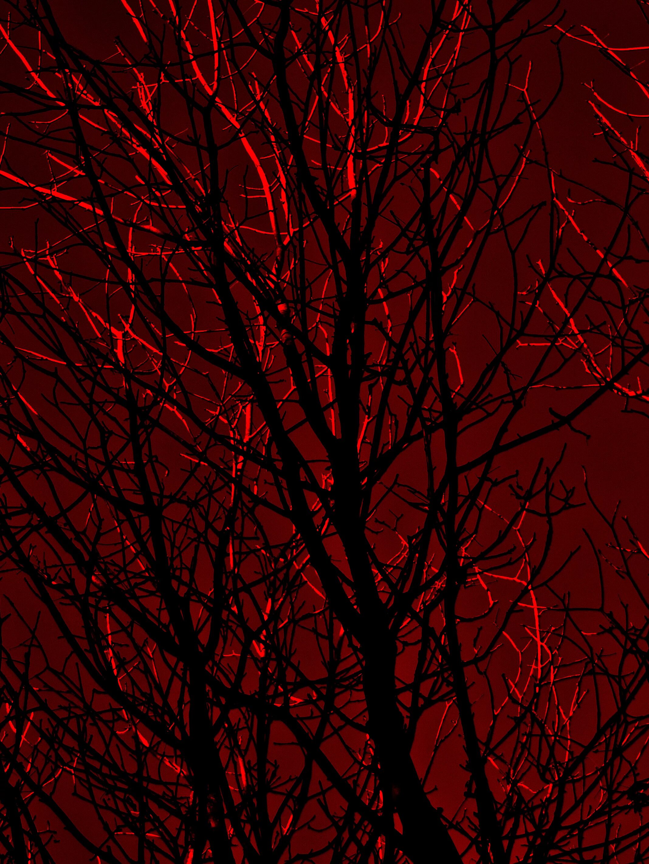 Темно кровавый цвет. Кровавый цвет. Кроваво красный цвет. Эстетика тёмно красного. Темно красный цвет.
