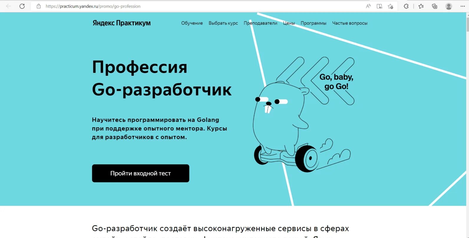 Go разработчик курсы. Go разработчик. golang курсы. go разработчик обучение.
