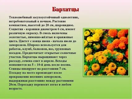 Информация про цвета
