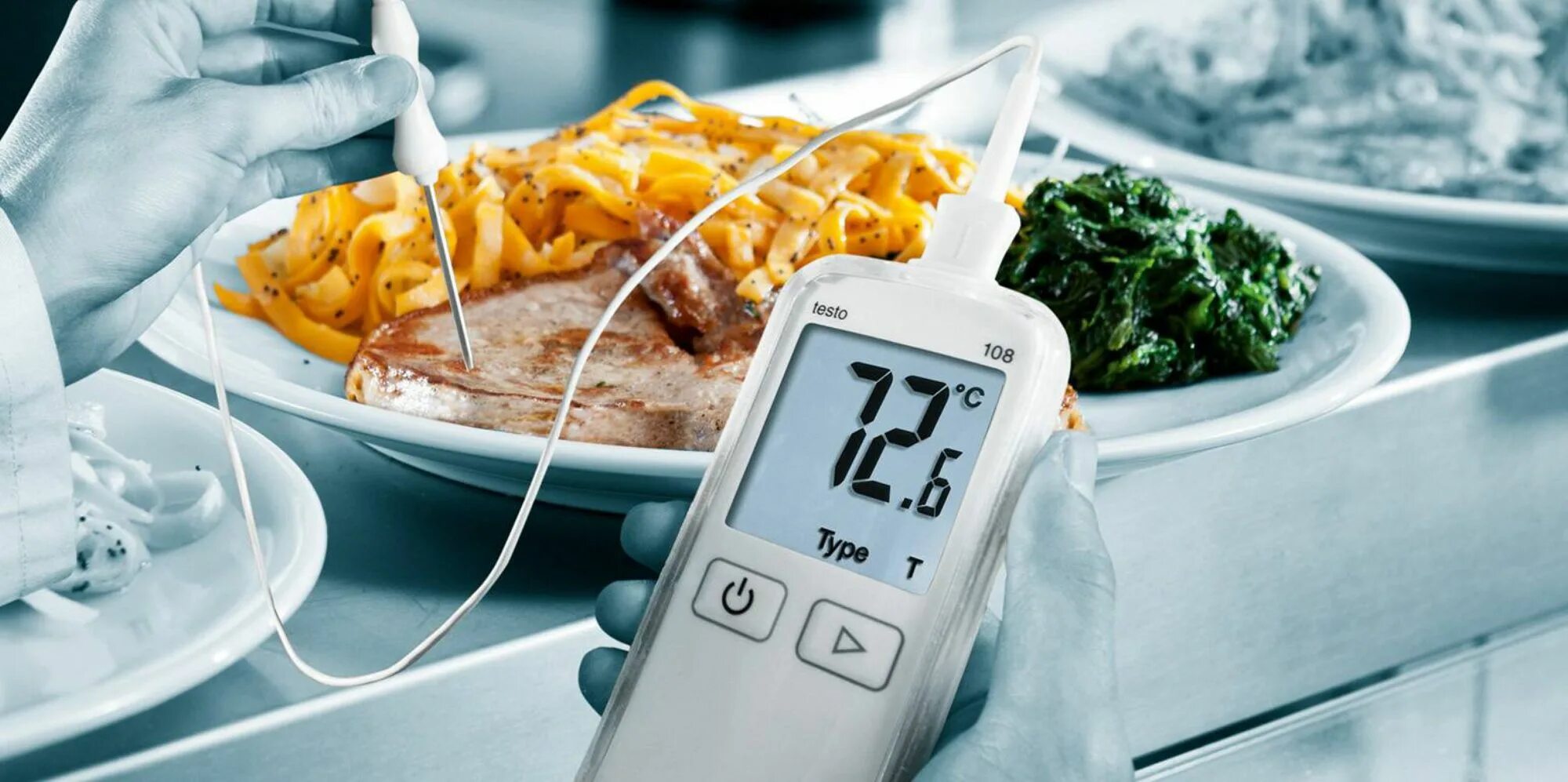 Контроль качества приготовления блюд. Testo 108. контроль качества продуктов. приборы для приготовления пищи. контроль качества блюд.