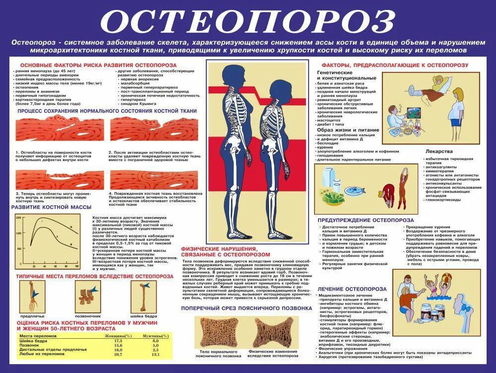 неделя остеопороза