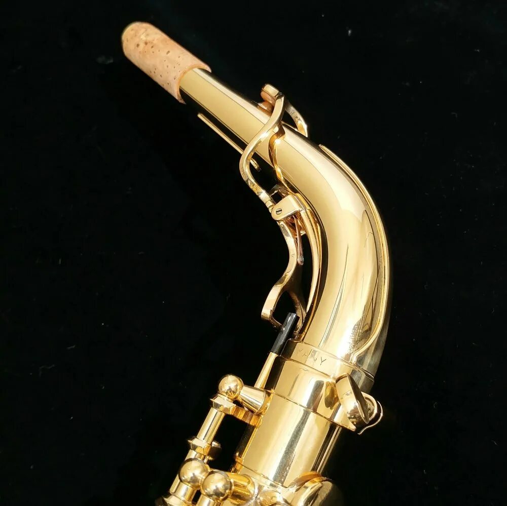 Саксофоны yanagisawa. Янагисава саксофон. yanagisawa alto wo10. yanagisawa a-wo10. янагисава.