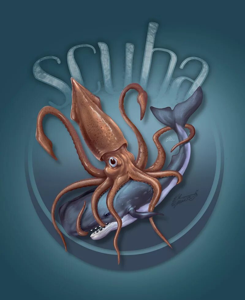 Игра в кальмара squid. Гигантский кальмар Кракен. Гигантский кальмар арт. Осьминоги арты. Игра в кальмара.