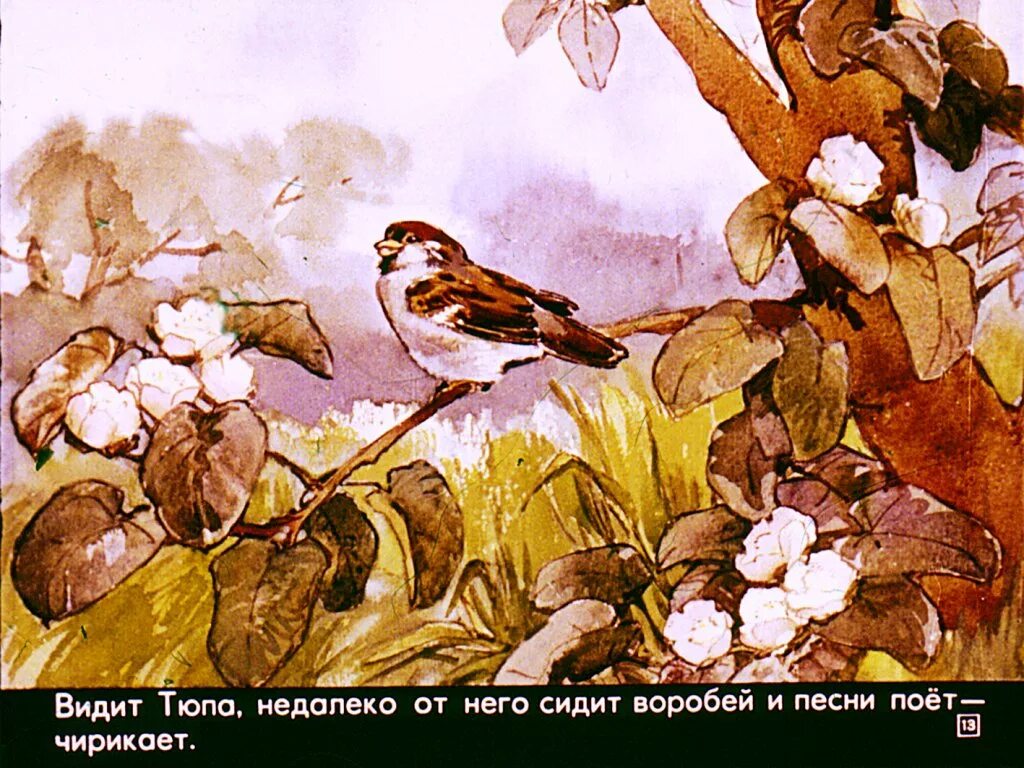 Почему тюпа не ловит птиц. Почему тюпа не ловит птиц
