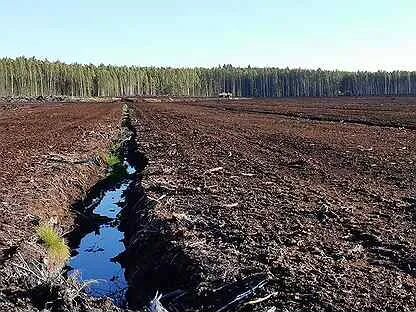 Его добывают на болотах