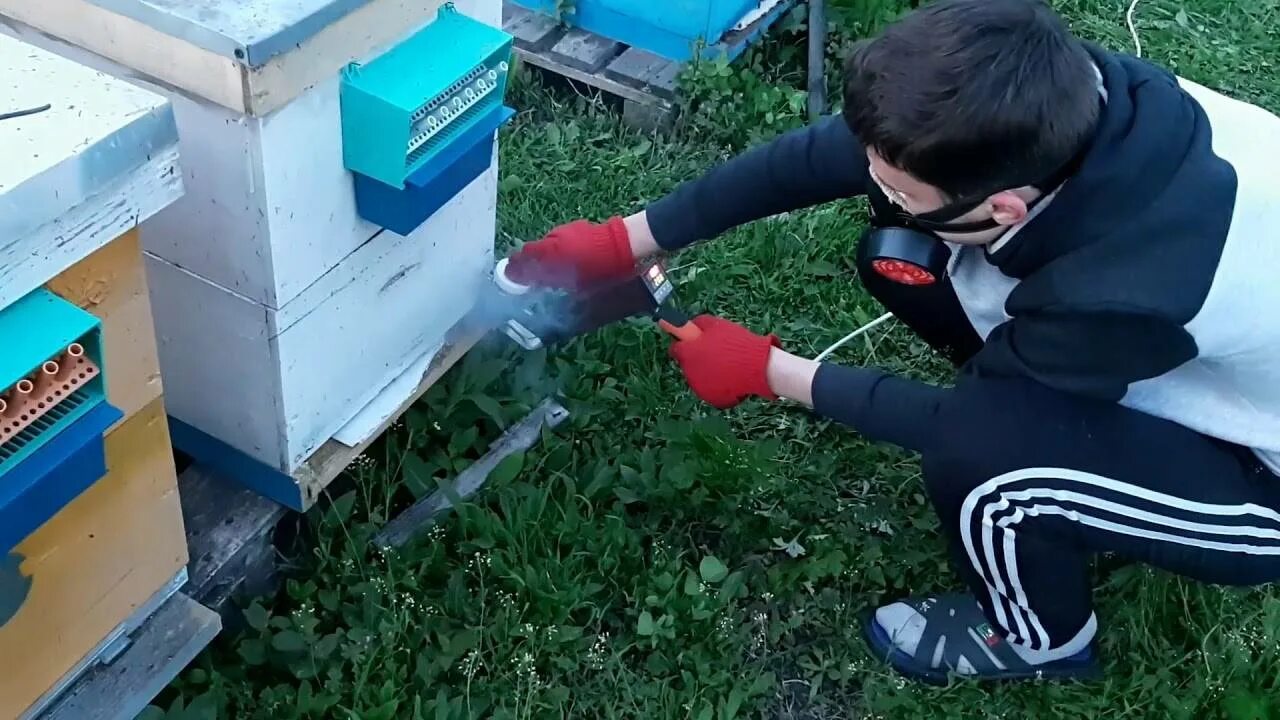 Канди медовое для пчел. Лимонная кислота пчелам. Щавелевая кислота обработка пчел. Бисанар 2 мл. Улей для пчел.
