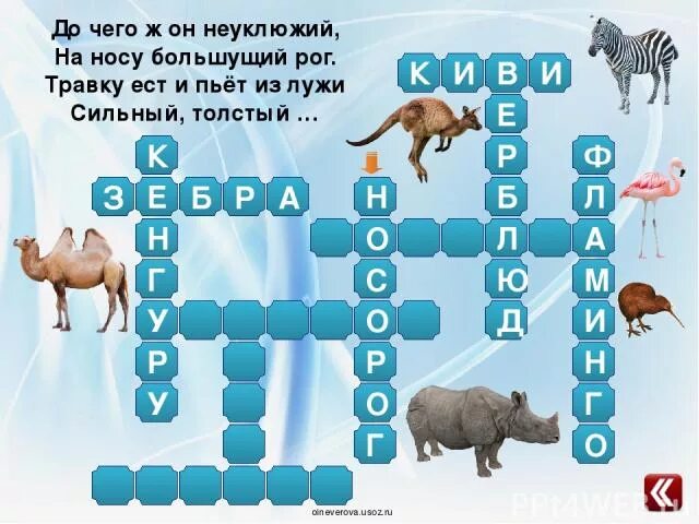 Кроссворд экзотические животные. Кроссворд про животных носорог. Кроссворд на тему экзотические животные. Кроссворд на тему животное с носорогом.