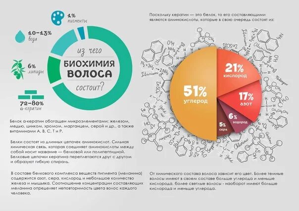 Сколько 97 процентов. Химический состав волоса в процентах. Химический состав волоса человека в процентном. Химический состав волоса человека в процентном соотношении. Из чего состоит волос в процентах.