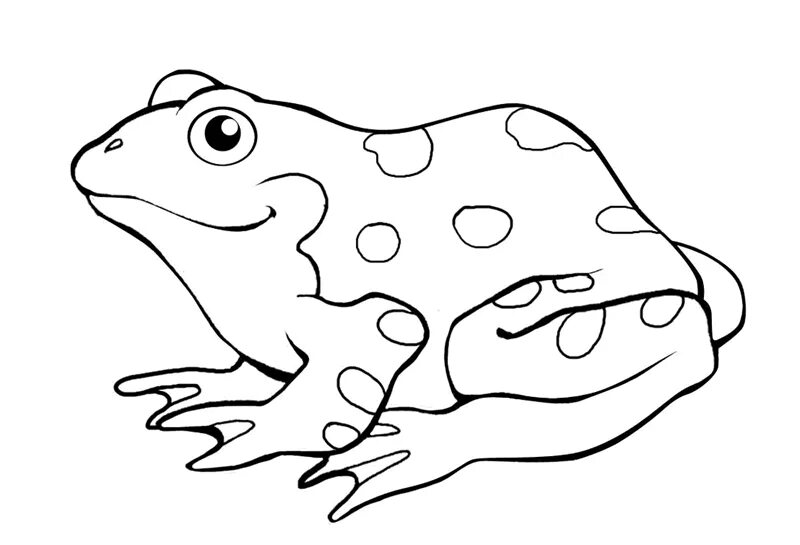 Раскраска лягушка для детей распечатать Tree Frog Coloring Pages Frog coloring pages, Animal coloring pages, Coloring pi