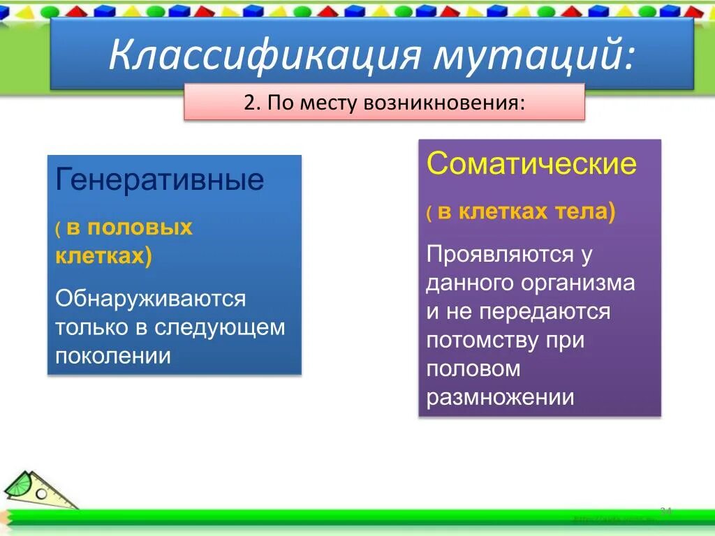 Появление мутаций при половом размножении