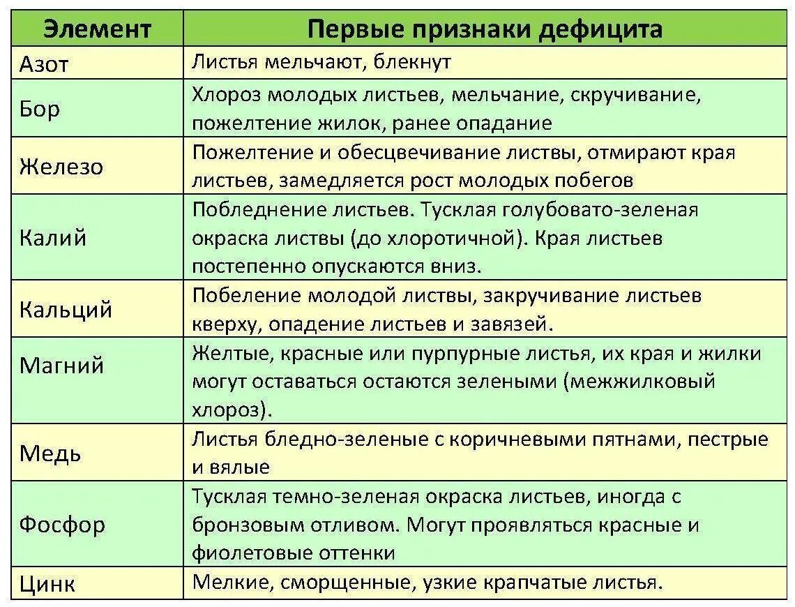 Можно ли обрабатывать яблони во время цветения