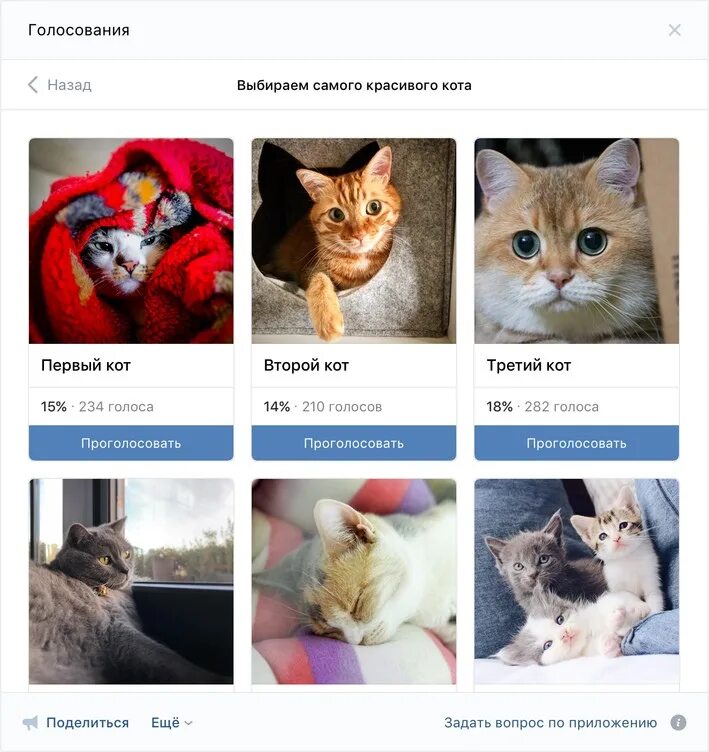 Как проголосовать в приложении. Голосование ВКОНТАКТЕ. Приложение голосование ВКОНТАКТЕ. Изображение для опроса в ВК. Фотографии голосований в ВК.