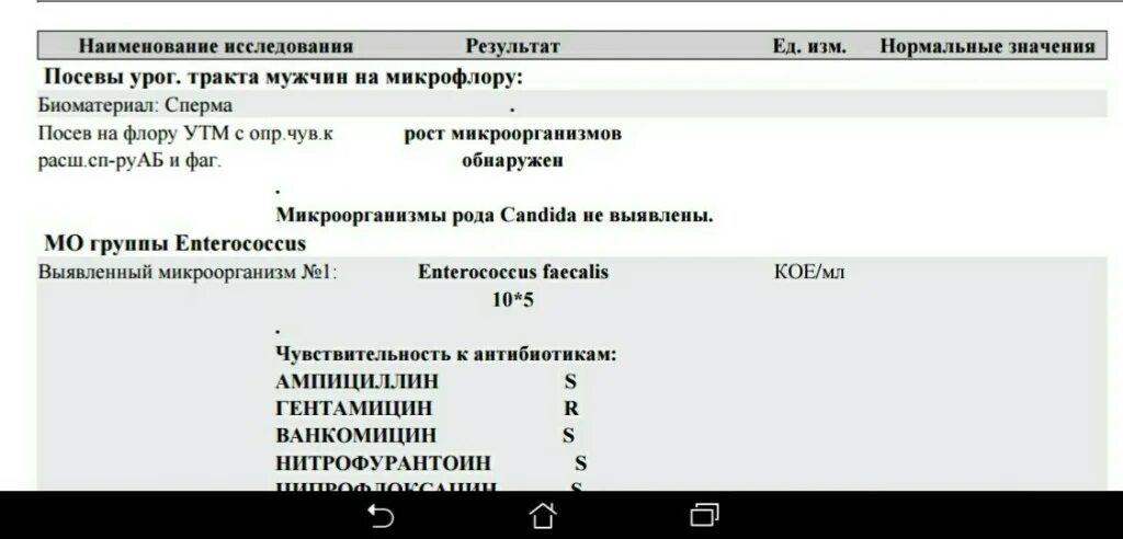 Enterococcus faecalis (энтерококк фекальный). Enterococcus faecalis 10^6 кое/мл. Бак посев Enterococcus faecalis. Enterococcus faecalis 10^2 кое/мл.