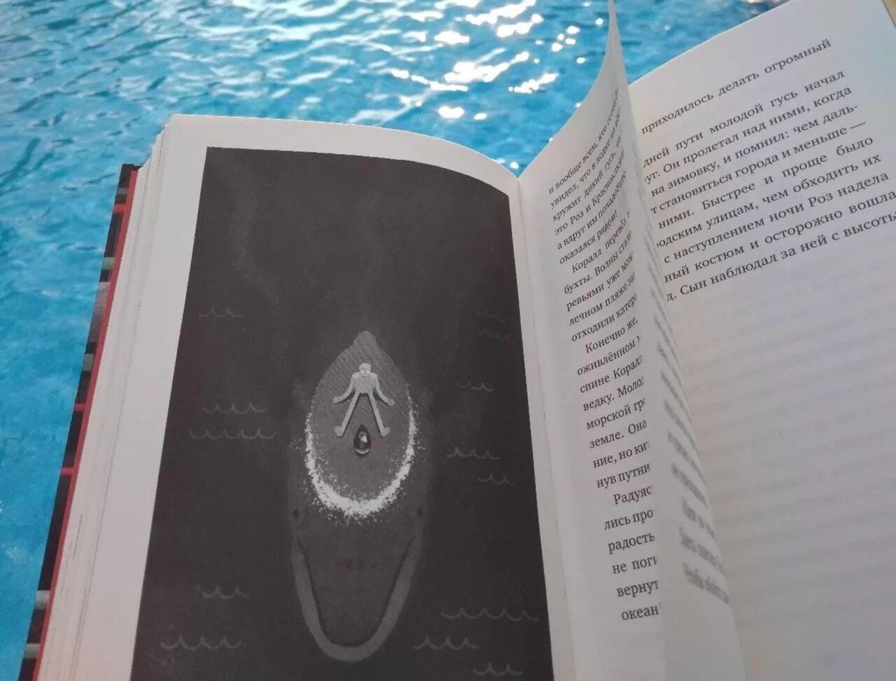 Спасение дикого робота книга. Спасение дикого робота книга
