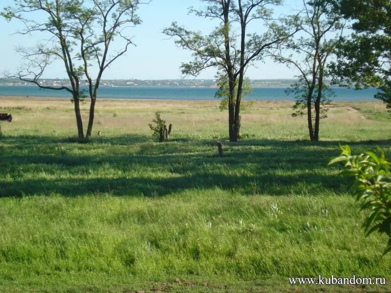 погода юбилейный краснодарский край. погода в краснодаре на 10. погода юбилейный краснодарский край. пос светлый путь темрюкский район. погода юбилейный краснодарский край.