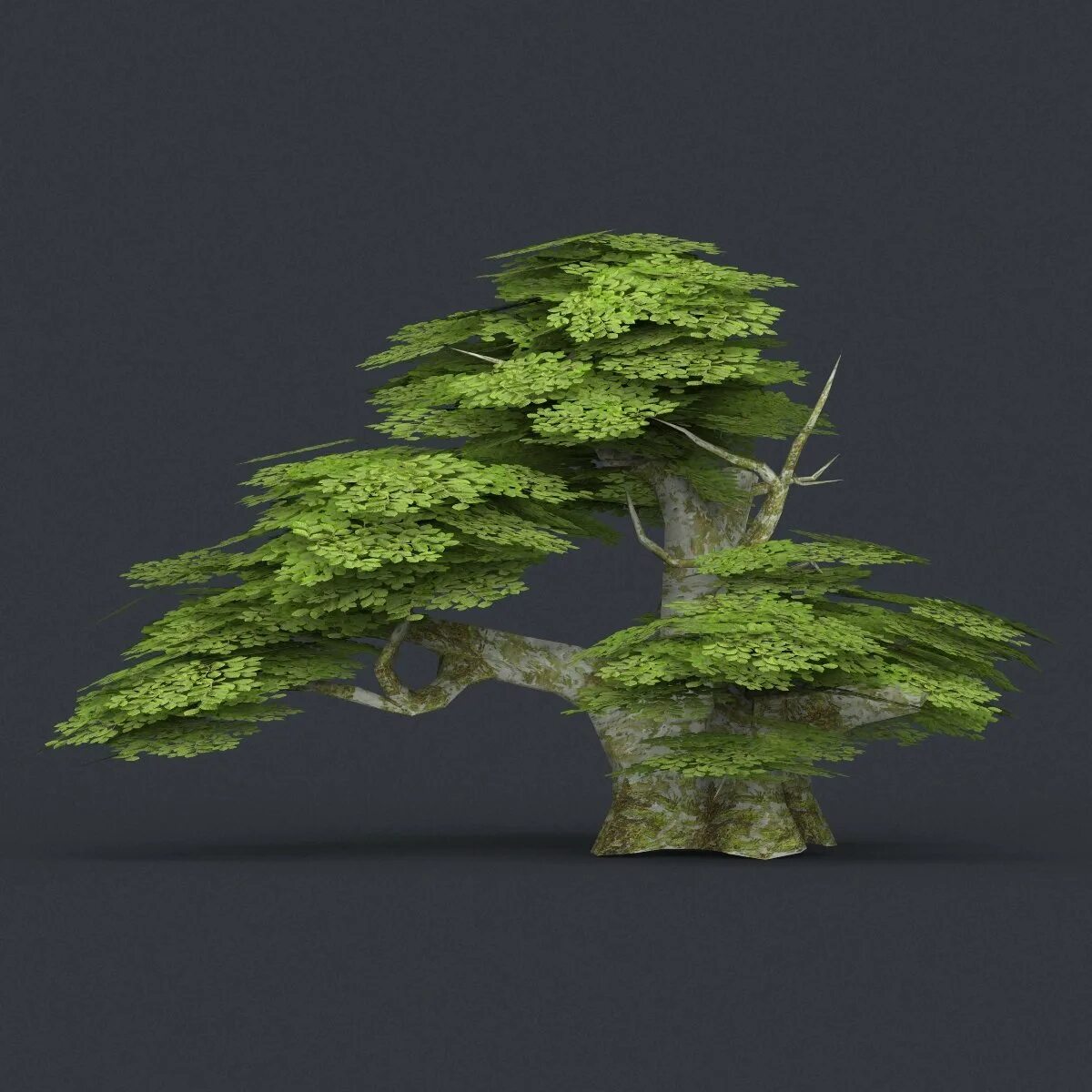 Tree 1 18 2