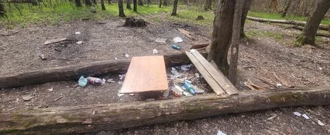 Северное города одинцово раскинулся подушкинский лес