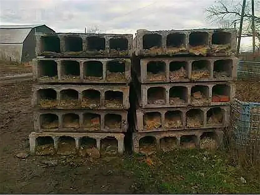 Ксп 90 керамзитобетонные плиты. Плита керамзитобетонная стеновая 6000 1800. Керамзитобетонные плиты перекрытия. Керамзитобетонные перекрытия. Межэтажная плита перекрытия монолит.